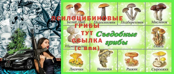 прущие грибы Абдулино