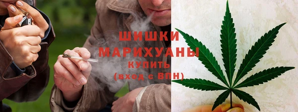 прущие грибы Абдулино