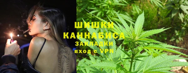 ГАЛЛЮЦИНОГЕННЫЕ ГРИБЫ Алзамай