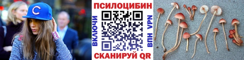 Галлюциногенные грибы Cubensis  Кострома 
